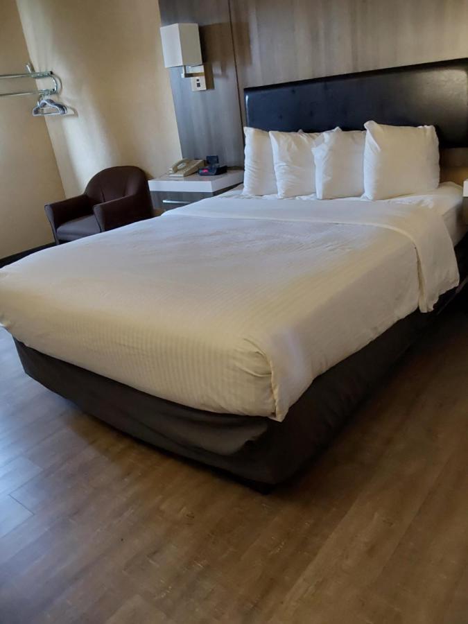 Lavissh Inn And Suites Bellingham Extérieur photo