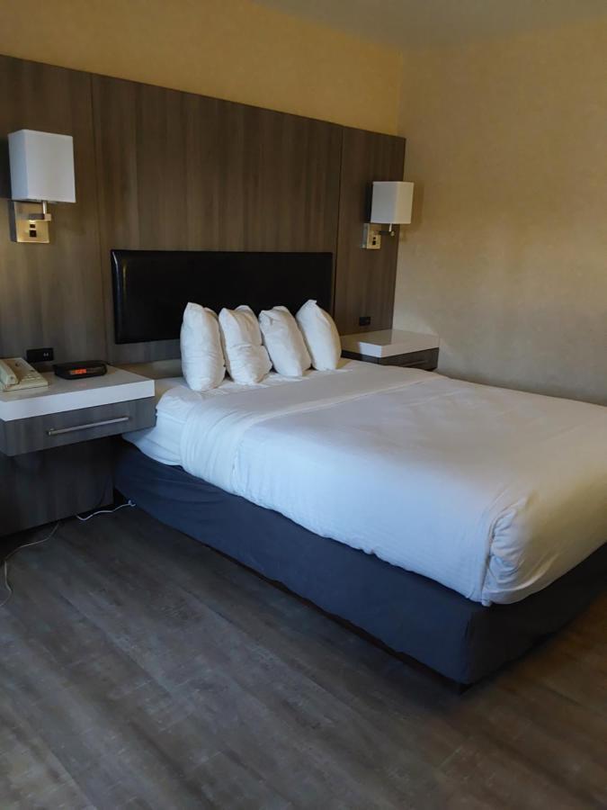 Lavissh Inn And Suites Bellingham Extérieur photo