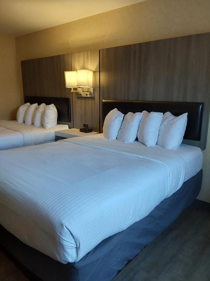 Lavissh Inn And Suites Bellingham Extérieur photo